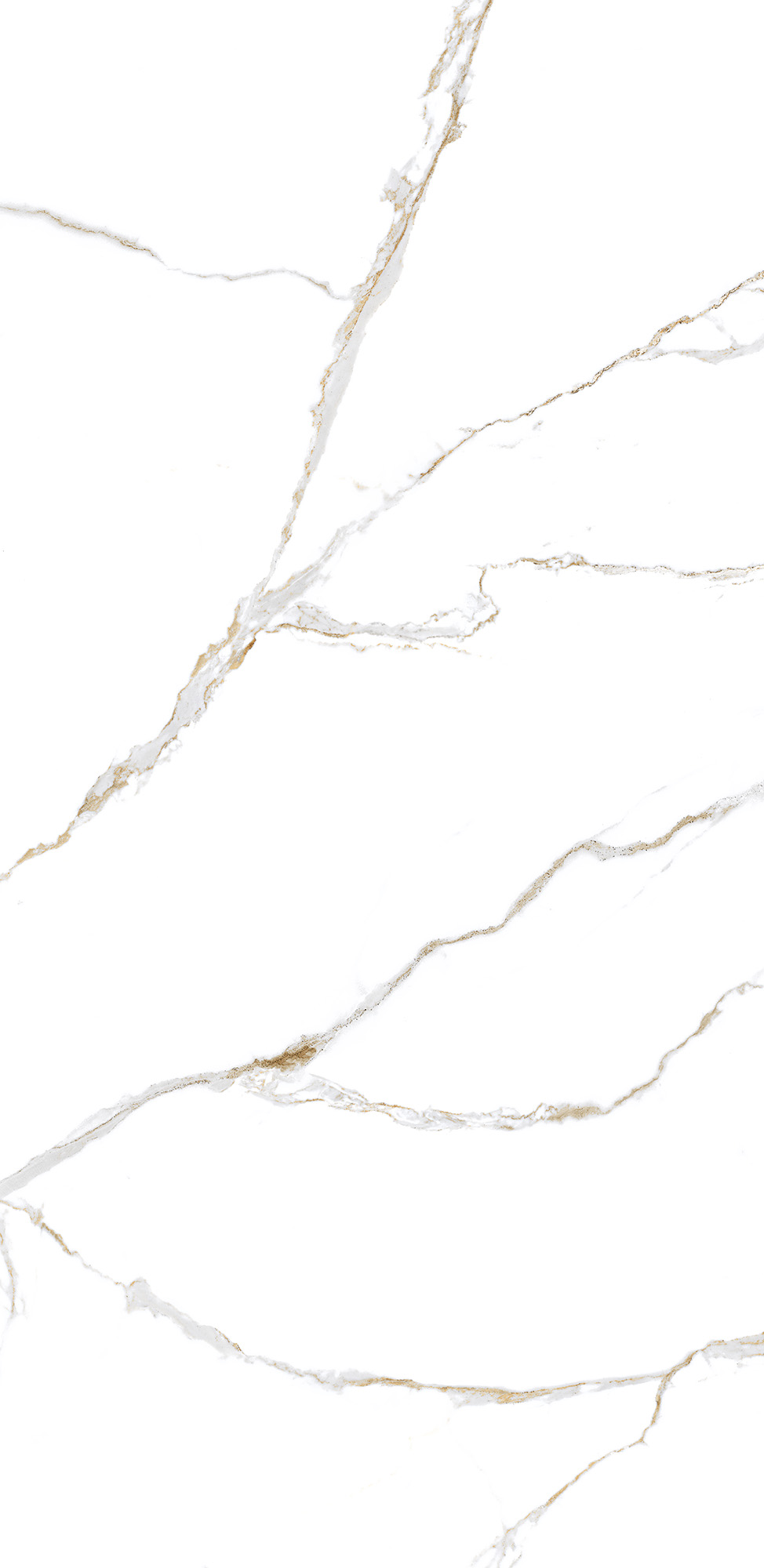 Thassos Golden PO 56x117