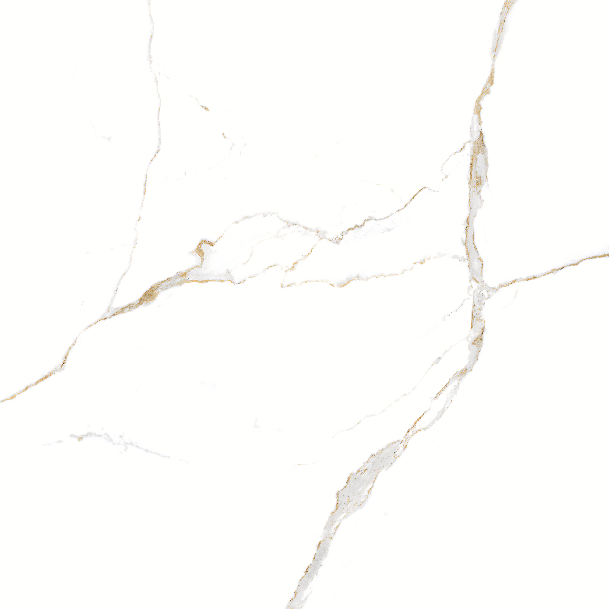 Thassos Golden PO 66x66 - Imagem 2