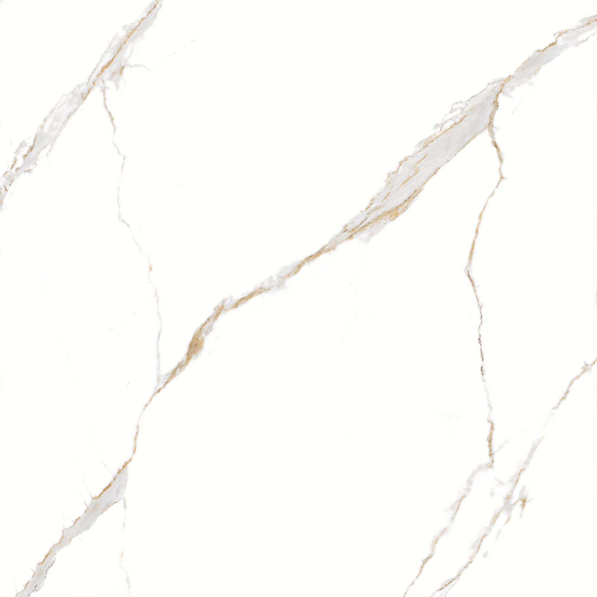 Thassos Golden PO 66x66 - Imagem 8