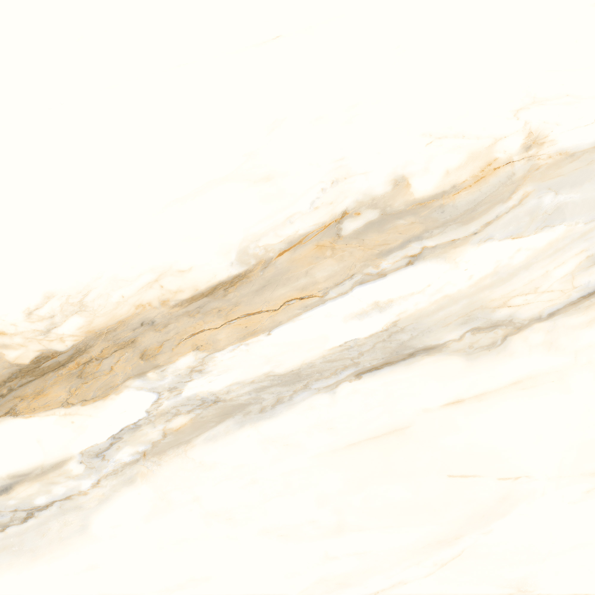 Calacata Lux 53x53