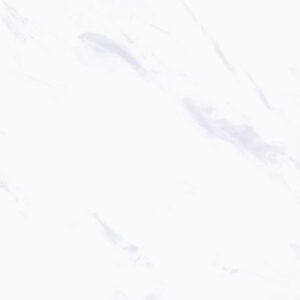 Carrara 50x50