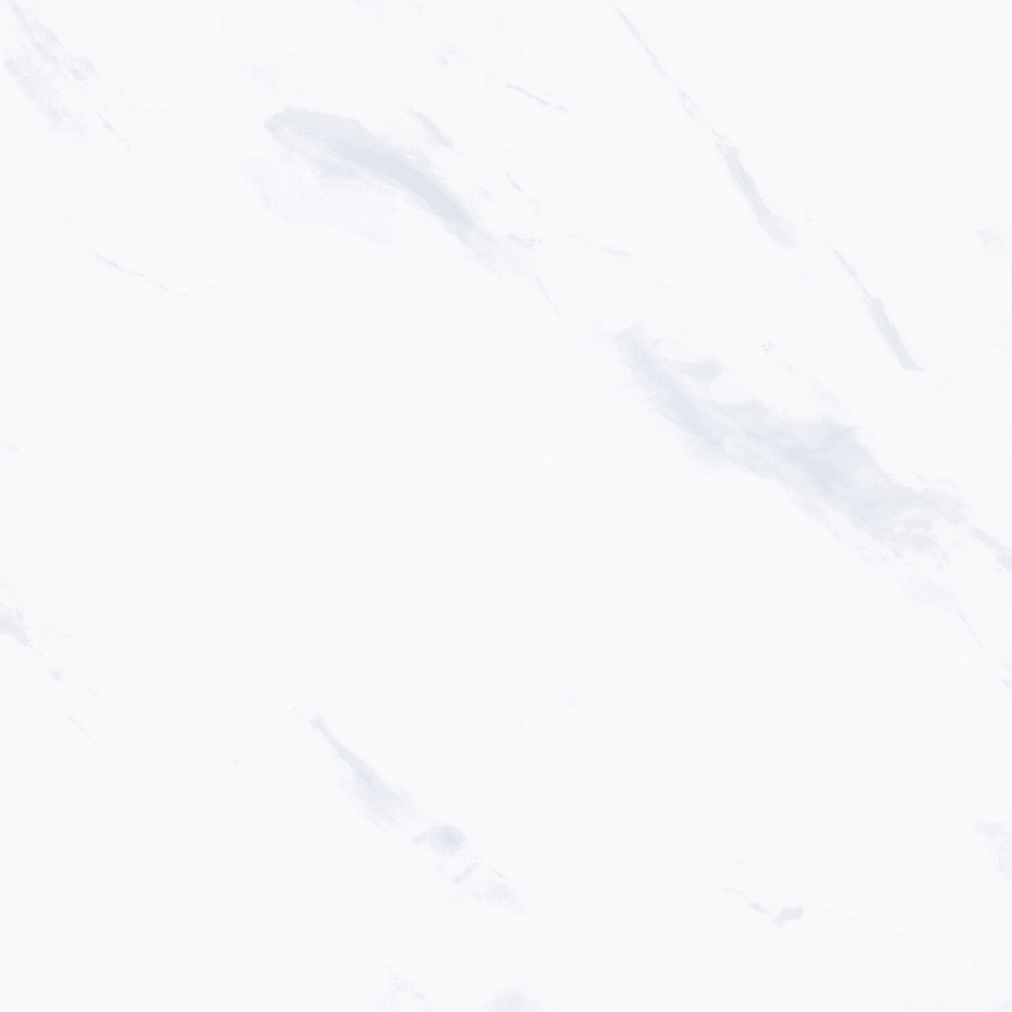 Carrara 50x50