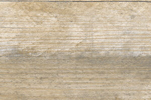 Indiana Plus 19x119
