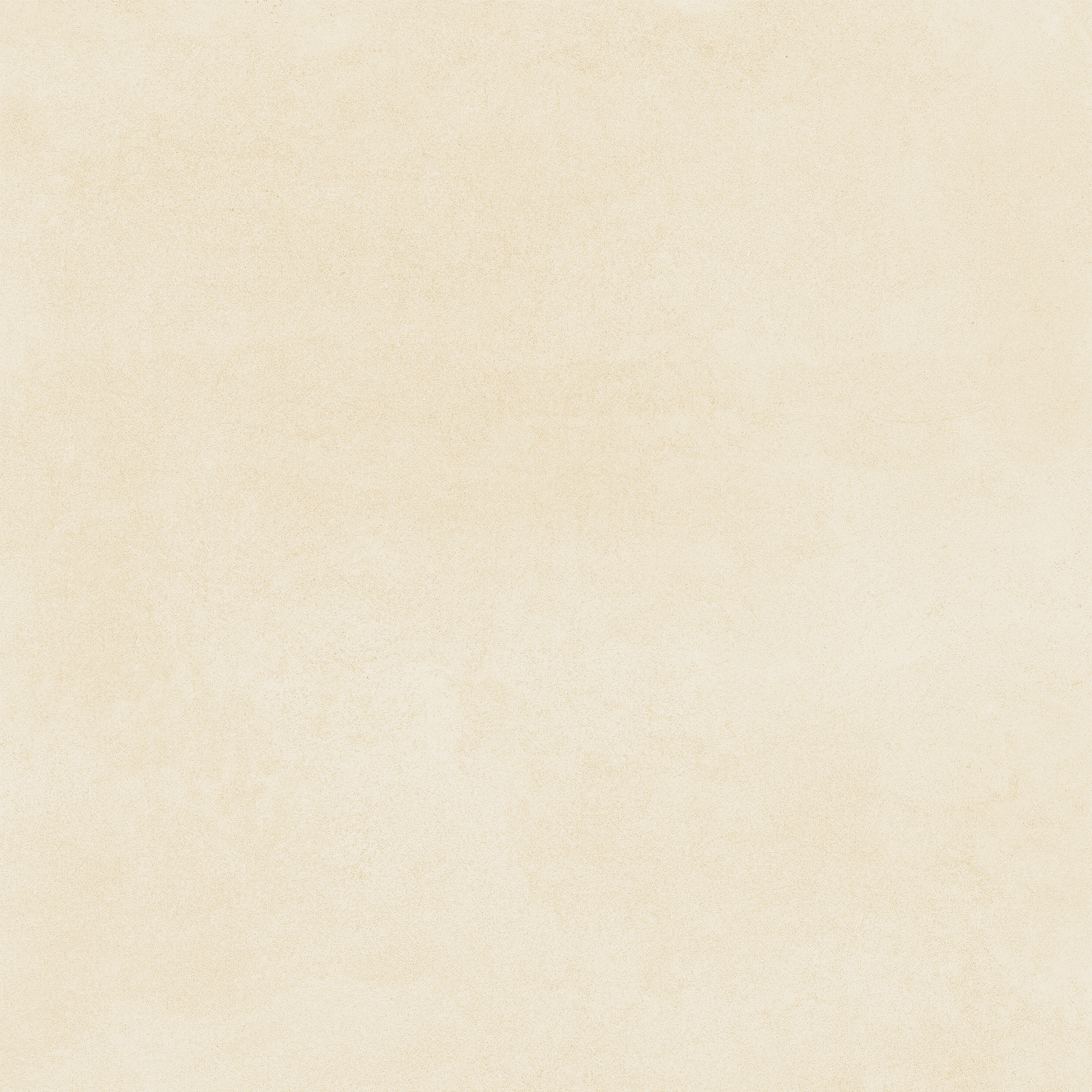 Portland Beige 53x53