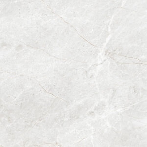 Royal Gray 50x50